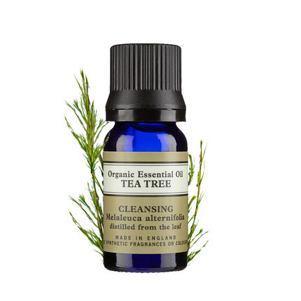 英国NYR茶树精油10ml单方去粉刺收敛毛孔控油清新活力抗沮丧 英国NYR茶树精油10ml单方去粉刺收敛毛孔控油清新活力抗沮丧