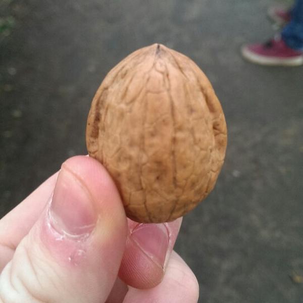 Proxy Delhaize 安特卫普利尔格罗特市场23