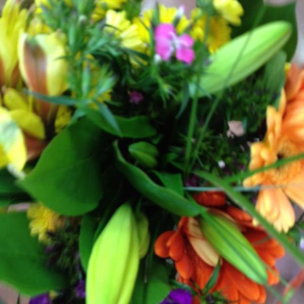 Photo taken at Trader Joe's by Laura R. on 5/13/2012-密歇根州罗亚尔奥克伍德沃德大道27880号 Photo taken at Trader Joe's by Laura R. on 5/13/2012