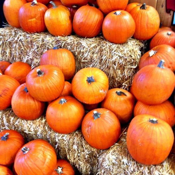 Photo taken at Trader Joe's by Vanessa G. on 9/27/2012-加尼福尼亚欧文欧文大道6222(在沙峡谷大道) Photo taken at Trader Joe's by Vanessa G. on 9/27/2012