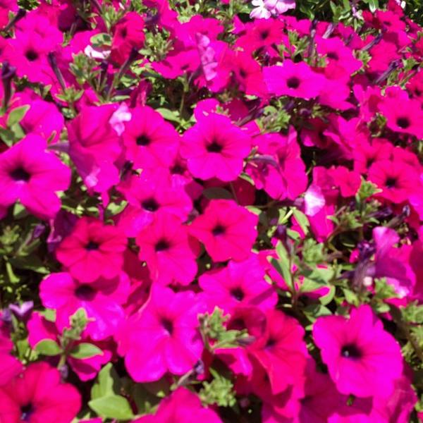 Photo taken at Whole Foods Market by Robert S. on 6/19/2013-北卡罗来纳州夏洛特费尔维尤路(沙龙路)6610 Photo taken at Whole Foods Market by Robert S. on 6/19/2013