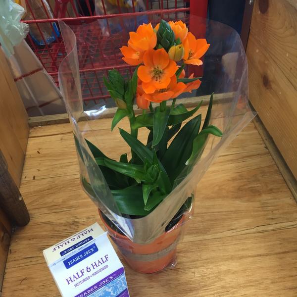 Photo taken at Trader Joe's by Jeff S. on 4/5/2015