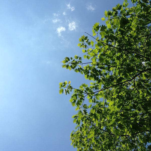 Photo taken at dm-drogerie markt by Frau_s on 6/5/2013