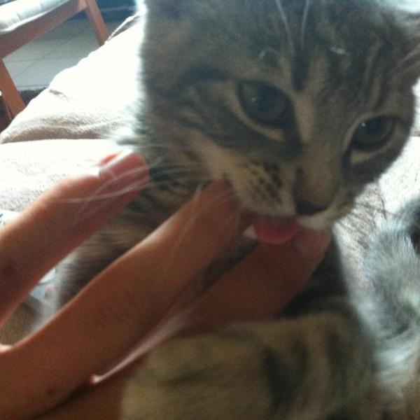 Proxy Delhaize图片库