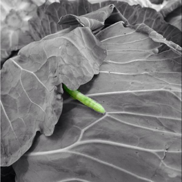 Photo taken at 西友  清瀬店 by Eruna O. on 7/7/2013