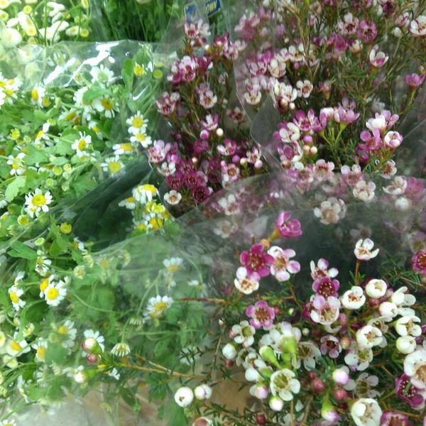 Photo taken at Trader Joe's by Tim C. on 3/5/2013