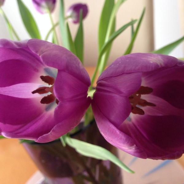 Photo taken at Trader Joe's by Duyen F. on 5/5/2014