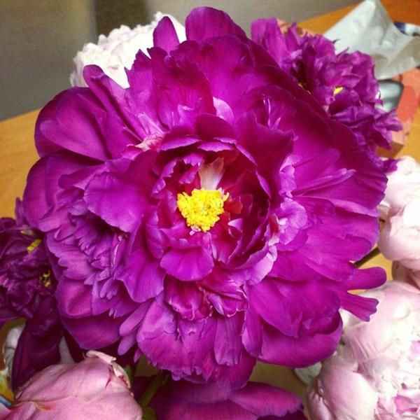 Photo taken at Trader Joe's by Duyen F. on 6/10/2014