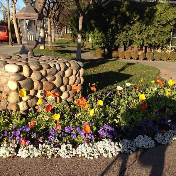 Photo taken at Whole Foods Market by Lisa G. on 1/15/2014