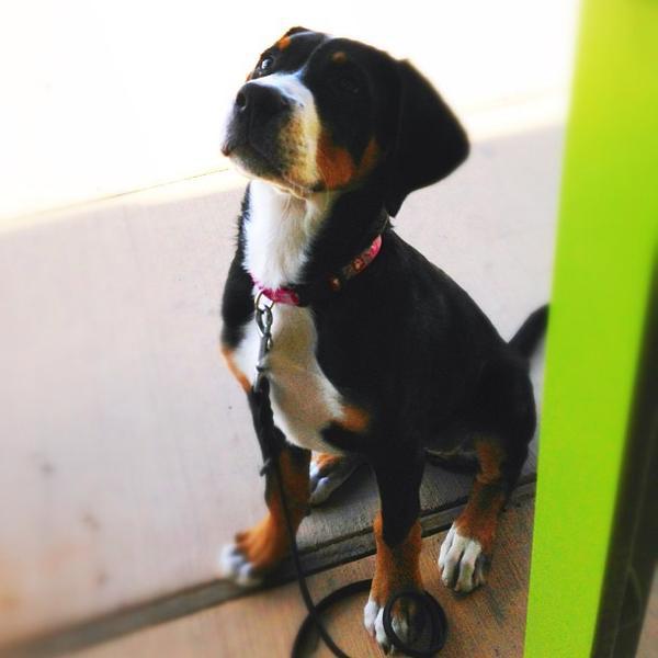 Photo taken at Whole Foods Market by Jennie C. on 2/6/2013