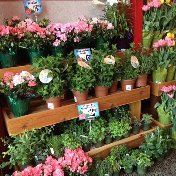 Trader Joe's乔氏连锁科斯塔梅萨店