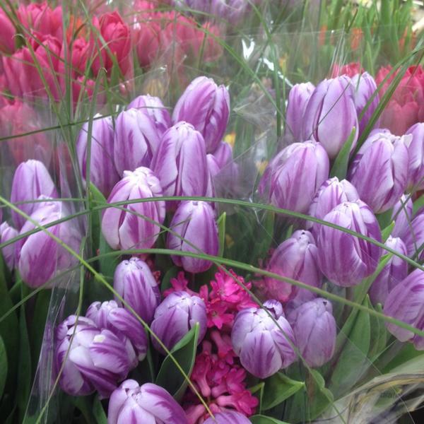 Photo taken at Trader Joe's by Vilma S. on 4/21/2014-美国伊利诺斯州丹尼森市奥格登大道122 Photo taken at Trader Joe's by Vilma S. on 4/21/2014