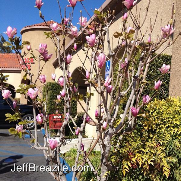 Photo taken at Trader Joe's by Jeff B. on 2/28/2013