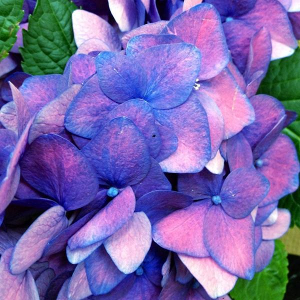 Photo taken at Trader Joe's by Vanessa K. on 12/19/2012-内华达州拉斯维加斯华盛顿大道7575号 Photo taken at Trader Joe's by Vanessa K. on 12/19/2012