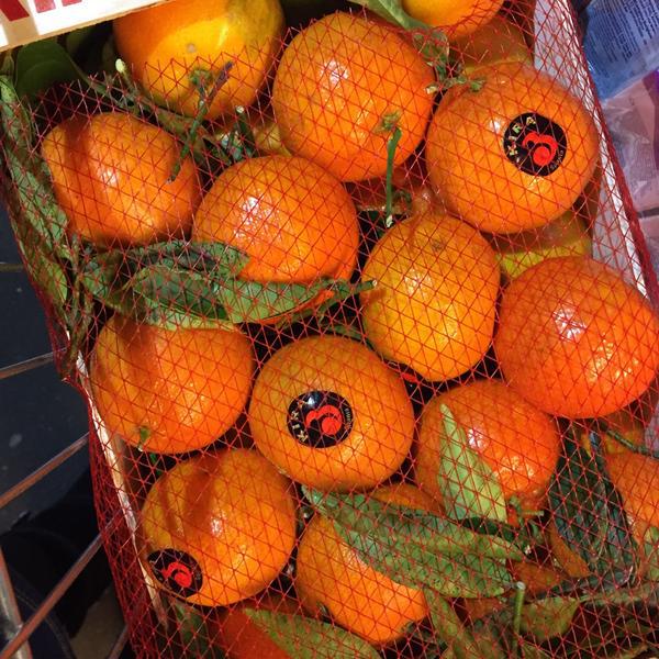 Photo taken at Colruyt by Sanzy I. on 12/4/2014