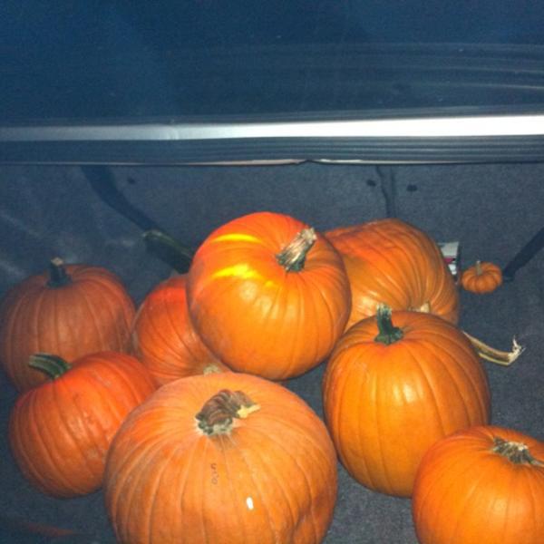 Photo taken at Trader Joe's by Myrna V. on 10/23/2011