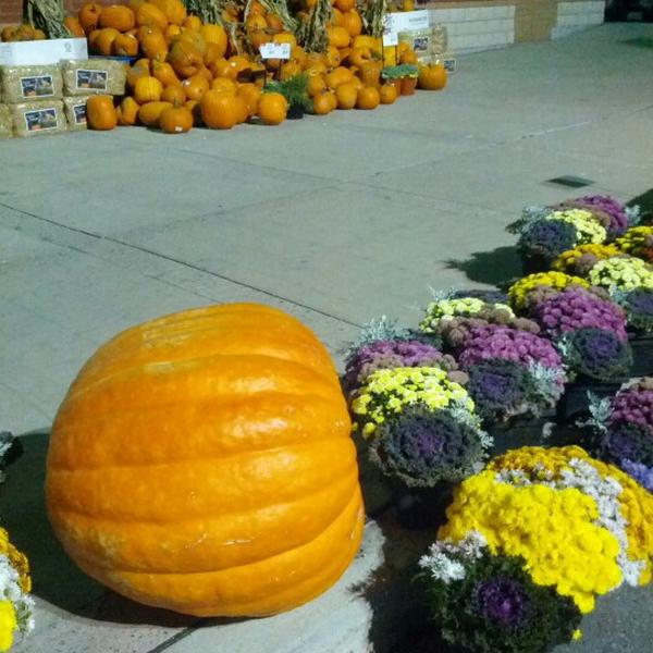 Photo taken at Longo's Boxgrove by Kevin C. on 10/3/2012-加拿大万锦市同溪街道98 Photo taken at Longo's Boxgrove by Kevin C. on 10/3/2012