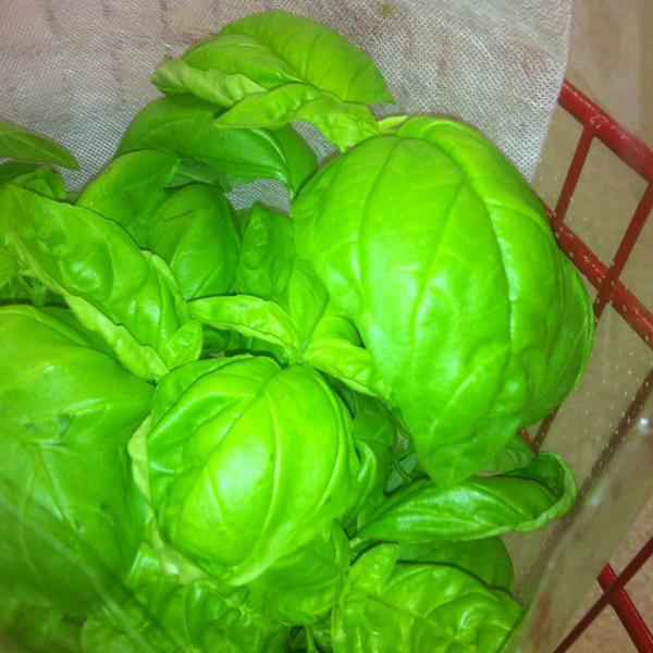 Photo taken at Trader Joe's by Sally C. on 12/29/2012-美国加利福尼亚州欧申赛德远景路2570 Photo taken at Trader Joe's by Sally C. on 12/29/2012