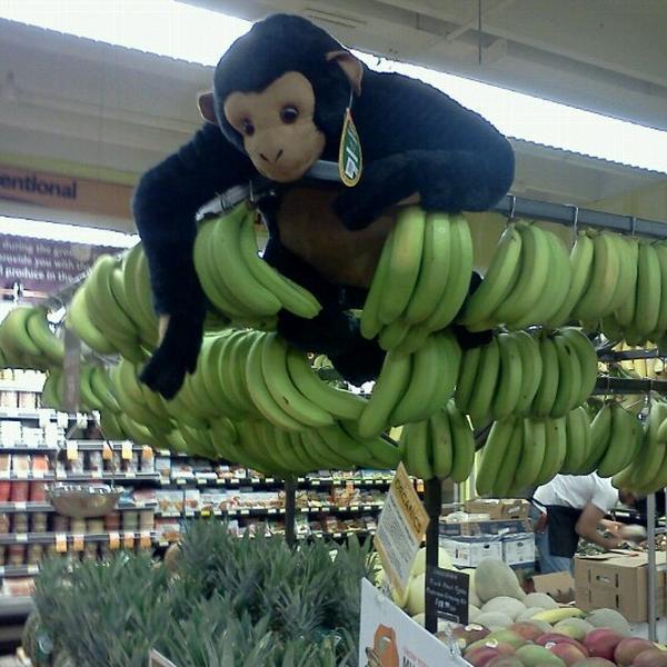 Photo taken at Whole Foods Market by kelly p. on 12/29/2012-北卡莱罗纳州韦德大道3450号 Photo taken at Whole Foods Market by kelly p. on 12/29/2012