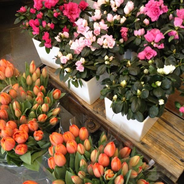 Photo taken at Whole Foods Market by SueBDo on 4/4/2012-麻萨诸塞州韦尔斯利镇华盛顿路442号 Photo taken at Whole Foods Market by SueBDo on 4/4/2012