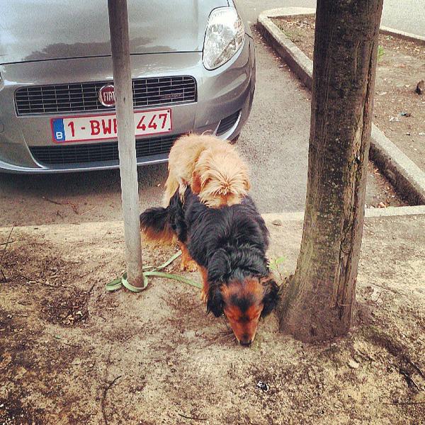 Photo taken at Colruyt by David D. on 7/10/2013