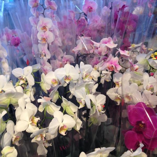 Photo taken at Fakta by Pia L. on 9/20/2013