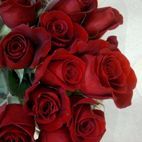 Photo taken at Whole Foods Market, North Wales by Fay W. on 8/3/2012