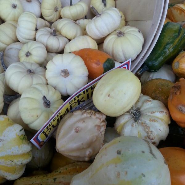 Photo taken at Trader Joe's by Roberta M. on 10/21/2013