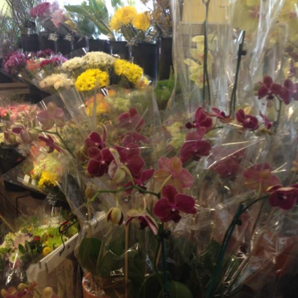 Photo taken at Whole Foods Market by Sylvia G. on 5/10/2012-美国佛罗里达州迈阿密奥尔顿路6789 Photo taken at Whole Foods Market by Sylvia G. on 5/10/2012