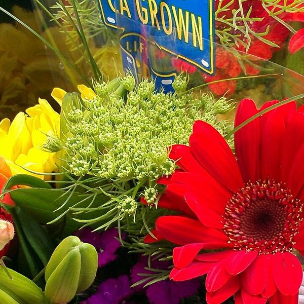 Photo taken at Trader Joe's by Joy B. on 5/25/2013