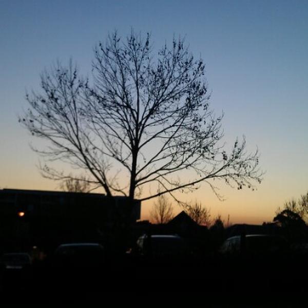 Photo taken at Woolworths by Mandee S. on 8/1/2012