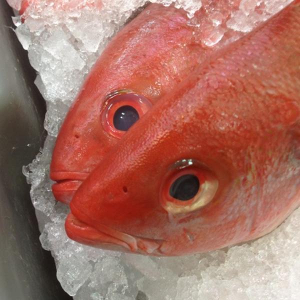 Photo taken at Whole Foods Market by Stacie V. on 7/8/2012