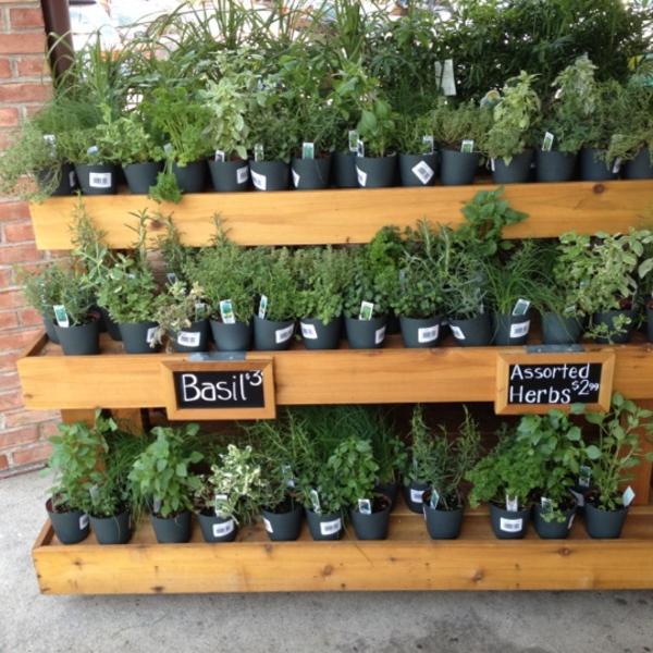 Photo taken at Trader Joe's by Jakub on 7/2/2012