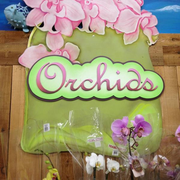 Photo taken at Trader Joe's by Sabrina O. on 1/16/2013-美国加利福尼亚州圣地亚哥石榴石大道1211 Photo taken at Trader Joe's by Sabrina O. on 1/16/2013