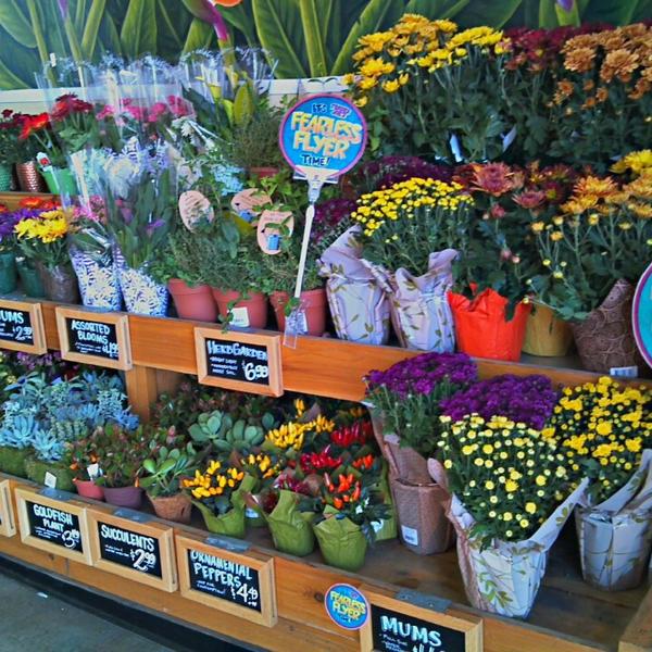 Photo taken at Trader Joe's by Comic-Con G. on 10/12/2013-美国加利福尼亚州圣地亚哥石榴石大道1211 Photo taken at Trader Joe's by Comic-Con G. on 10/12/2013