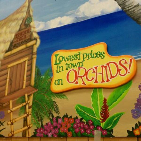 Photo taken at Trader Joe's by Kevin P. on 2/24/2012-加利福尼亚州卡西德勒尔城帕尔木坎宁路67720号 Photo taken at Trader Joe's by Kevin P. on 2/24/2012