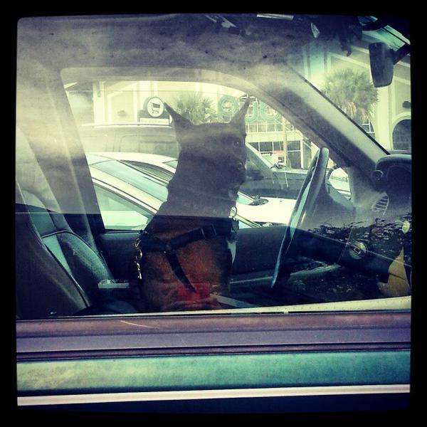 Photo taken at Publix by Jess V. on 1/4/2013