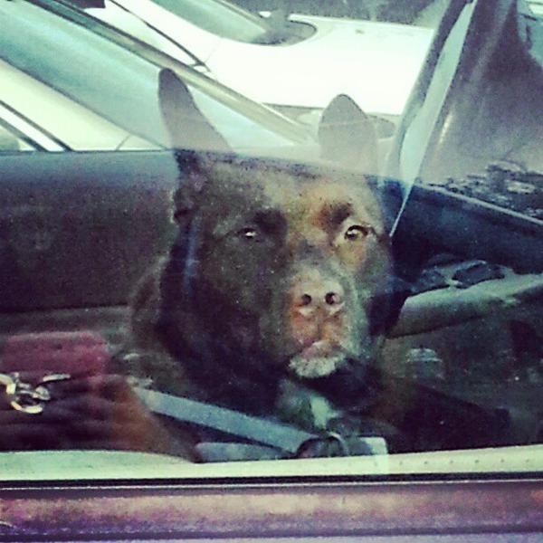 Photo taken at Publix by Jess V. on 1/4/2013