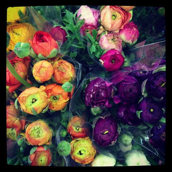 Photo taken at Trader Joe's by Stages P. on 3/22/2013-威斯康辛州布鲁克菲尔德布卢芒德路12665号 Photo taken at Trader Joe's by Stages P. on 3/22/2013