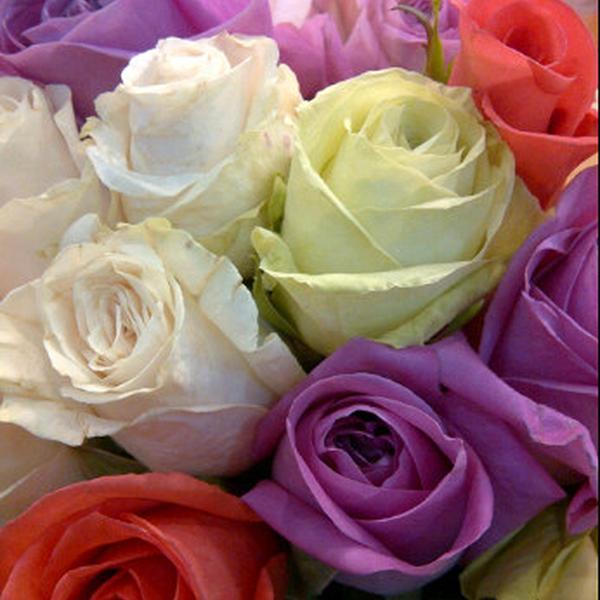 Photo taken at Longo's Boxgrove by Mirza Mushtaq B. on 1/30/2012-加拿大万锦市同溪街道98 Photo taken at Longo's Boxgrove by Mirza Mushtaq B. on 1/30/2012