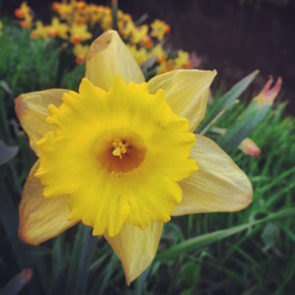 Photo taken at Albert Heijn by Patrick d. on 4/25/2013-荷兰格罗宁根瑞杰克斯路129A Photo taken at Albert Heijn by Patrick d. on 4/25/2013