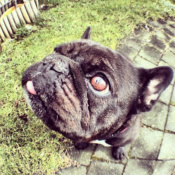 Photo taken at Albert Heijn by Patrick d. on 3/21/2013-荷兰格罗宁根瑞杰克斯路129A Photo taken at Albert Heijn by Patrick d. on 3/21/2013