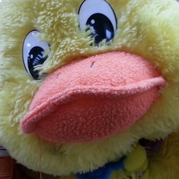 Trader Joe's乔氏连锁萨克拉门托店 加利福尼亚州戴维斯市罗素大道885号