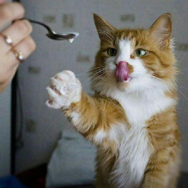 Photo taken at Carrefour by Michaël E. on 9/8/2012