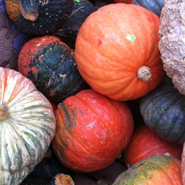 Photo taken at Whole Foods Market by Ann H. on 9/28/2011-美国马萨诸塞州安多佛铁路街40 Photo taken at Whole Foods Market by Ann H. on 9/28/2011