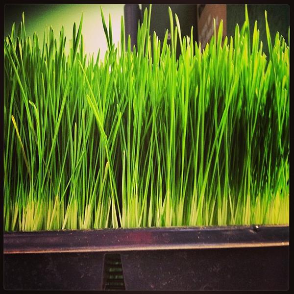 Photo taken at Whole Foods Market by Derek N. on 2/25/2013