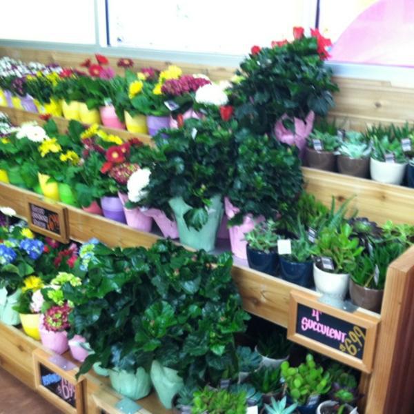 Photo taken at Trader Joe's by Liz S. on 6/14/2012