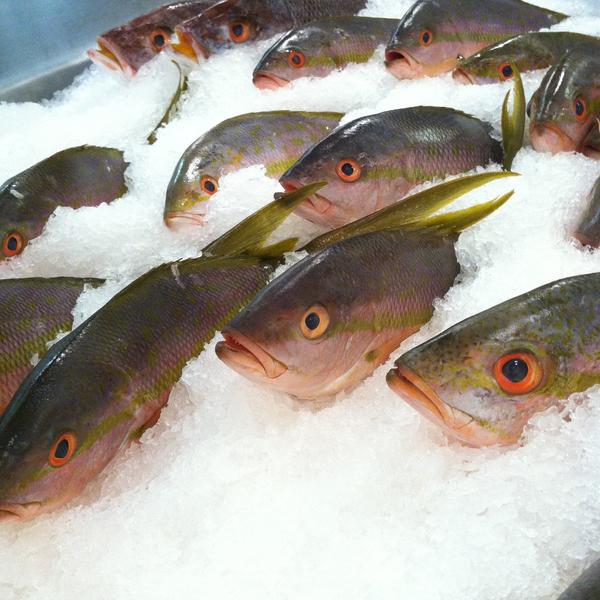 Photo taken at Whole Foods Market by Joelle on 5/5/2013