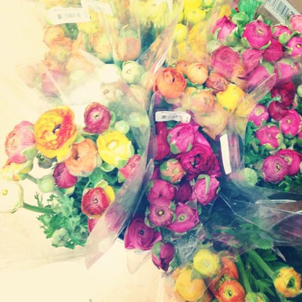 Photo taken at Trader Joe's by Stephanie U. on 3/21/2013-美国加利福尼亚州雷东多海滩埃琳娜大道南1761 Photo taken at Trader Joe's by Stephanie U. on 3/21/2013