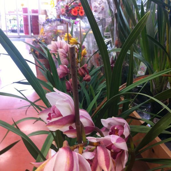 Photo taken at Trader Joe's by Maria G. on 4/12/2013